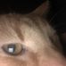 Vaughn Spencer - Facebook
