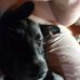 Robert Vaughn Walker - Facebook