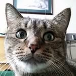 Vaughn Woods - @woodsvaughn - Instagram