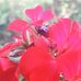 Veda Nanda - Facebook