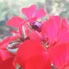 Veda Nanda - @veda.nanda3 - TikTok