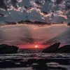 vedagraylelicando - @vedagraylelicando - TikTok