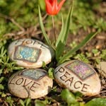 Verity Rogers - @veerogers1 - Instagram