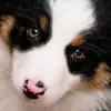 Vee Smith - @vee.smith5 - TikTok