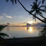 Vee Thomas - @vee.thomas.33 - Instagram