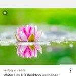 Veena Bhatti - @veena_bhatti - Instagram