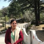 Veena Handa - @veena.handa.988 - Instagram