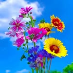 Veena Ramesh - @veena.ramesh.5203 - Instagram