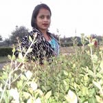Veenita Devi - @veenita.devi.9279 - Instagram