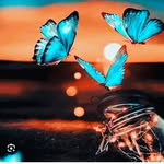 DEEPTHI_VEERLA - @veerla_deepthi - Instagram