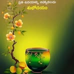 Mandati Veera - Facebook
