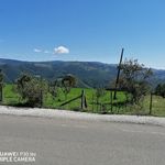 Velimir Kovačević - @kovacevic.velimir - Instagram