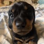 Velma Blake - @vblake.61 - Instagram