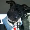 Velma.wiggle.butt - @velmawigglebutt - TikTok
