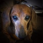 Velma Carr - @vcarr65 - Instagram