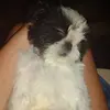 KrazySexiKool1 - @sexikool1 - TikTok