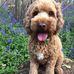 Velma Conboy - Facebook