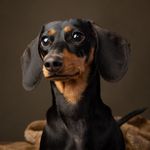 Velma Cooper - @velmathesausage - Instagram