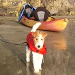 Pooky Velma Dean - @pooky_velma_the_ginger_foxie - Instagram