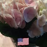 Velma Edwards - @velmaedwards164 - Instagram