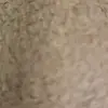 Velma Harrison876 - @velmaharrison876 - TikTok