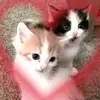 Vilma Jarrell - @vilmajarrell_4722 - TikTok