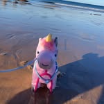 harmony-charlie velma joyce dudfield🦄💕 - @harmonytheuni - Instagram