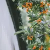 joycejvelmab - @joycejvelmab - TikTok