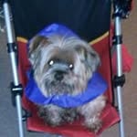 velma joyce mckeehan - @velmamckeehan - Instagram