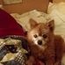 Velma Wimbley Lowry - Facebook