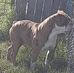 Velma Moore - Facebook