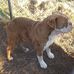 Velma Moore - Facebook
