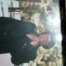 Velma Moore - Facebook
