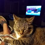 Velma Hughes Morris - @velma.h.morris - Instagram