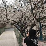 Velma Murray - @velmamurray524 - Instagram
