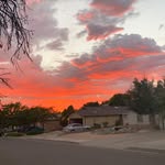 Velma Root - @velmaroot - Instagram