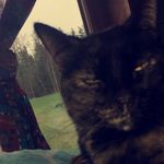 Velma_Rose_Erickson - @velma_rose_erickson - Instagram