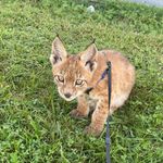 Velma Sheppard and Abby Walker - @ead_farm_zoo - Instagram