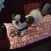 Velma Workman - Facebook
