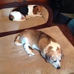 Velta Rose Smith - @veltarose - Instagram