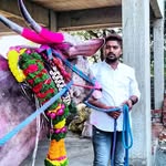 महाराष्ट्राचा_बुलंद_आवाज_मुंबई_किंग_वेलफिनिशर_मैहबुब...👑💎 - @maharashtra_king_mehbub_3006_ - Instagram