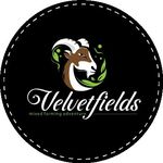 @velvetfields - Instagram