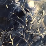Velvet Gray Arts - @velvetgrayarts - Instagram