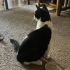 j - @velvet.jay1 - TikTok