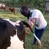 Vet Maxwell Letting Sawe - @vet.maxwell.letti - TikTok