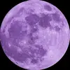 Venlai - @venla.syrila11 - TikTok