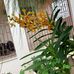 Veneta Smith - Facebook