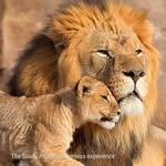 Venkat Chandra - @venkat.chandra.92 - Instagram