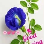 Venkat Don - Facebook