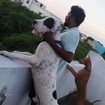 Venkat Don - @don.venkat04 - Instagram